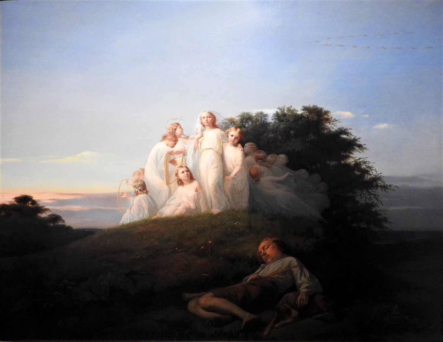 Sogno di una notte d'estate